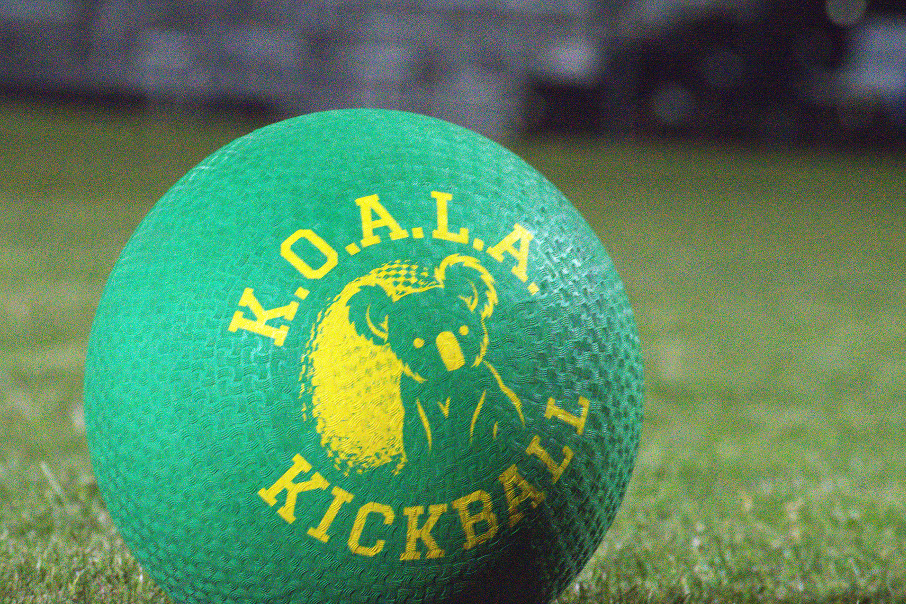 10 Years of Koala Sports: From One Kickball League to a Whole Lot More