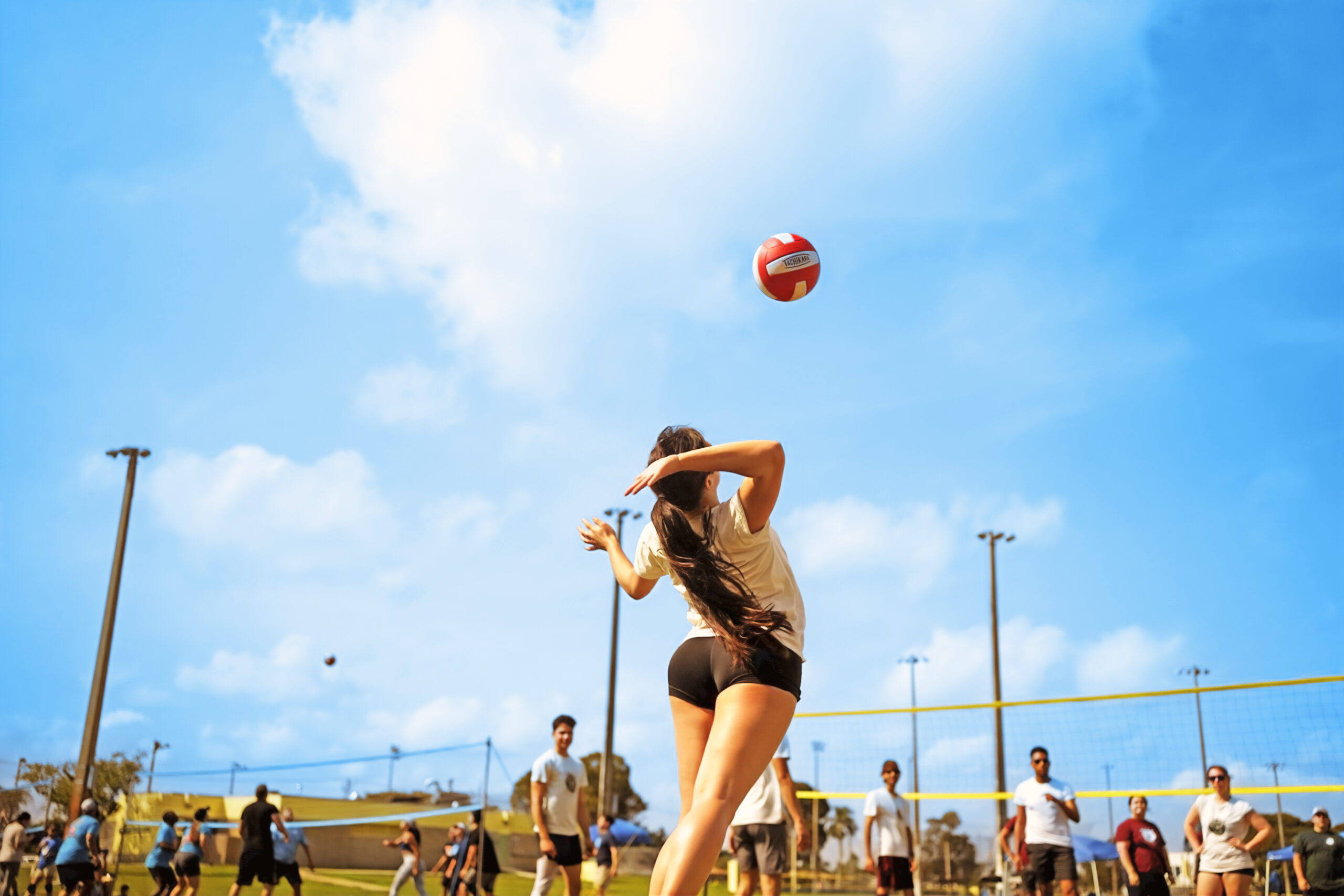 Koala_Sports_volleyball_fm_2025a__lsp8449_53578197944_o_full-rev